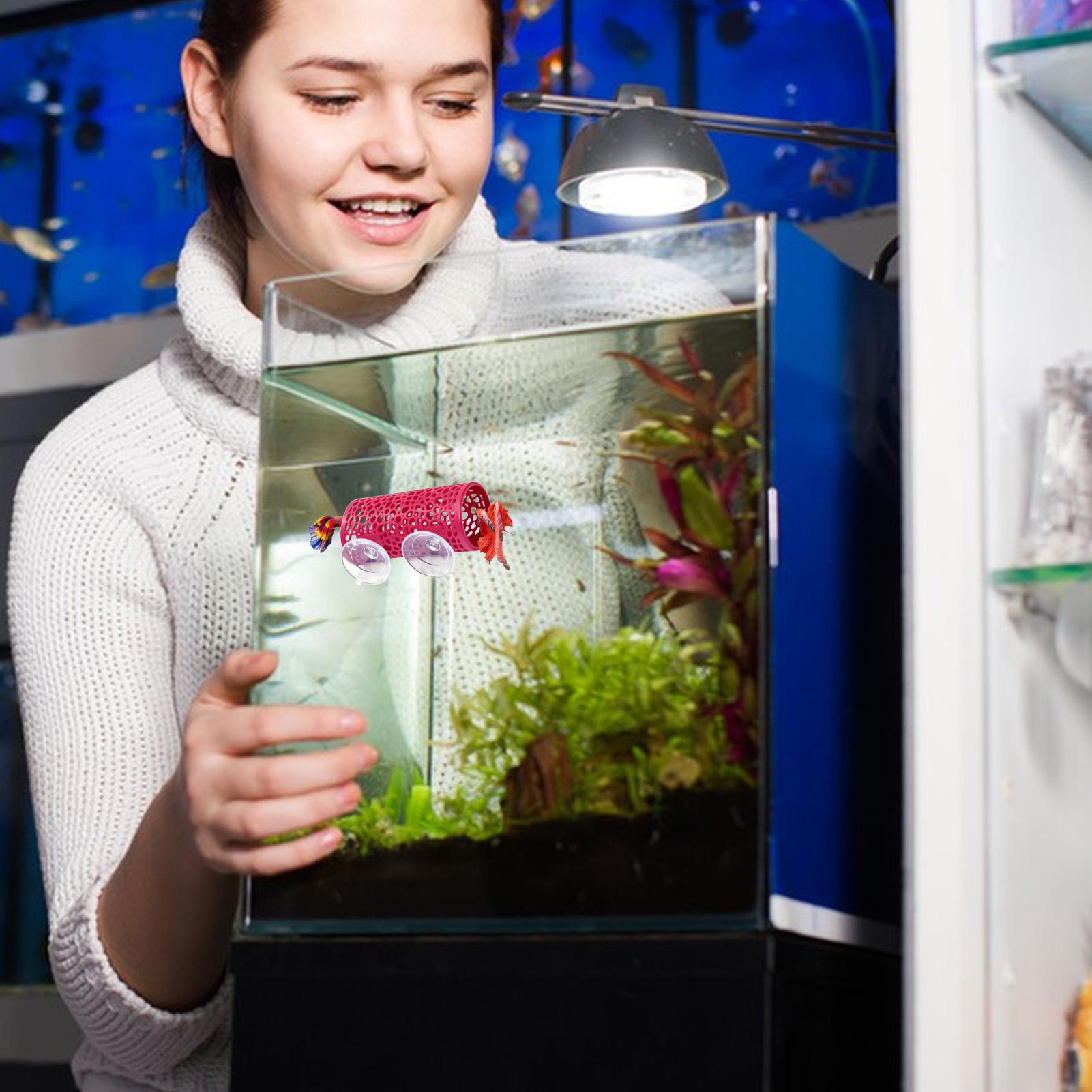 Aquarium Fish Betta - ベタの生息地、休憩用シェルター、装飾用魚トンネルおもちゃ、水槽用吸盤付き小型安全チューブシェルター、水生ペット、シクリッド用