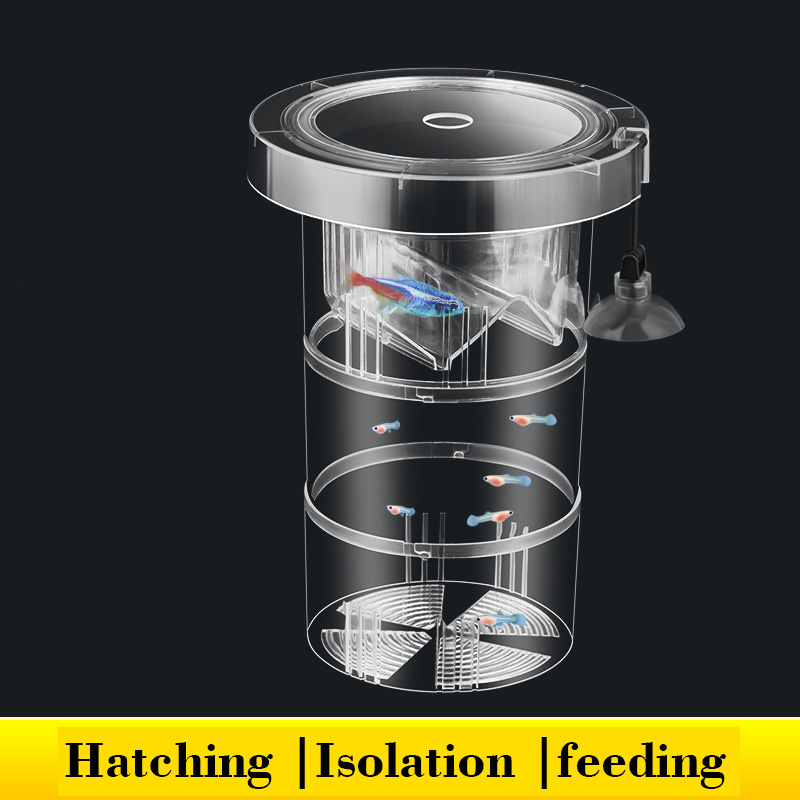 Aquarium Fish Betta - フローティング魚飼育隔離ボックス水族館タンクベビーフィッシュインキュベーターベタカクレクマノミ稚魚孵化水族館アクセサリー