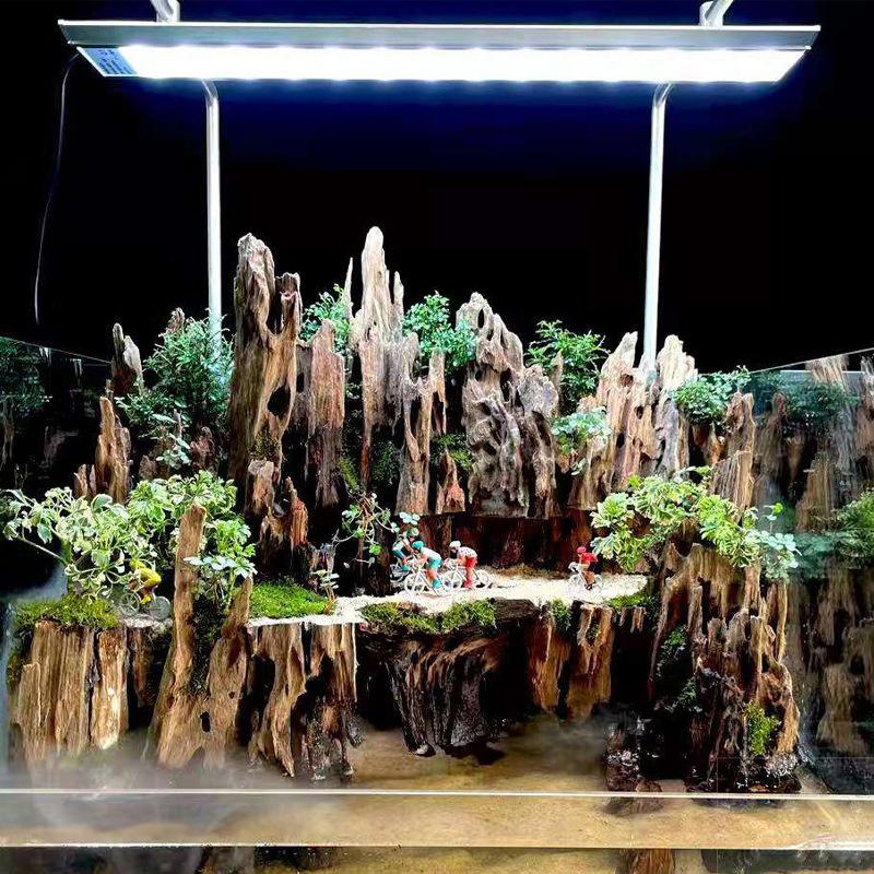 Aquarium Fish Tank Price - エビ用木製水槽装飾品、天然の穴が付いたエビに適した天然木の水景装飾アクセサリー