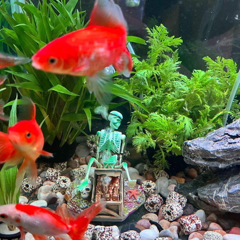 Aquarium Fish Tank Price - 水槽用エアポンプ、水槽の景観を彩るエアーバブル、楽しい水槽装飾、オーナメントアクセサリー、創造的な骨型デザイン