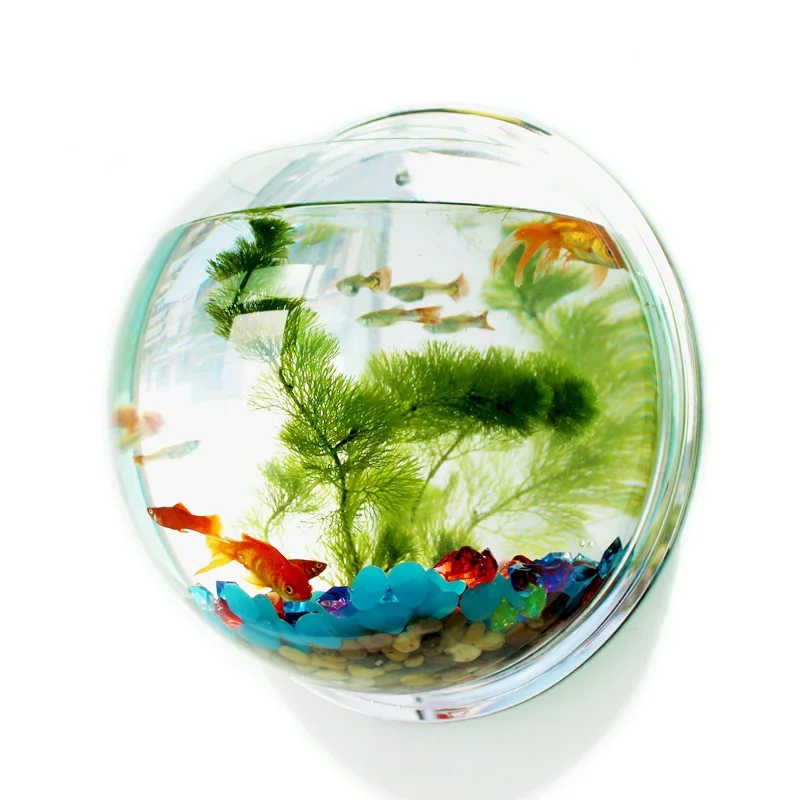 Aquarium Fish Betta - Pinsjar アクリル金魚鉢壁掛け水族館タンク水生ペット用品ペット製品壁掛け水槽ベタ魚用