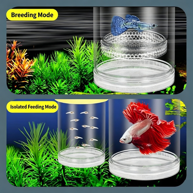 Aquarium Fish Betta - 透明なフローティングアクアリウム孵化ボックス、グッピー、ゼブラ、ベタの稚魚隔離用品用多機能魚繁殖分離器