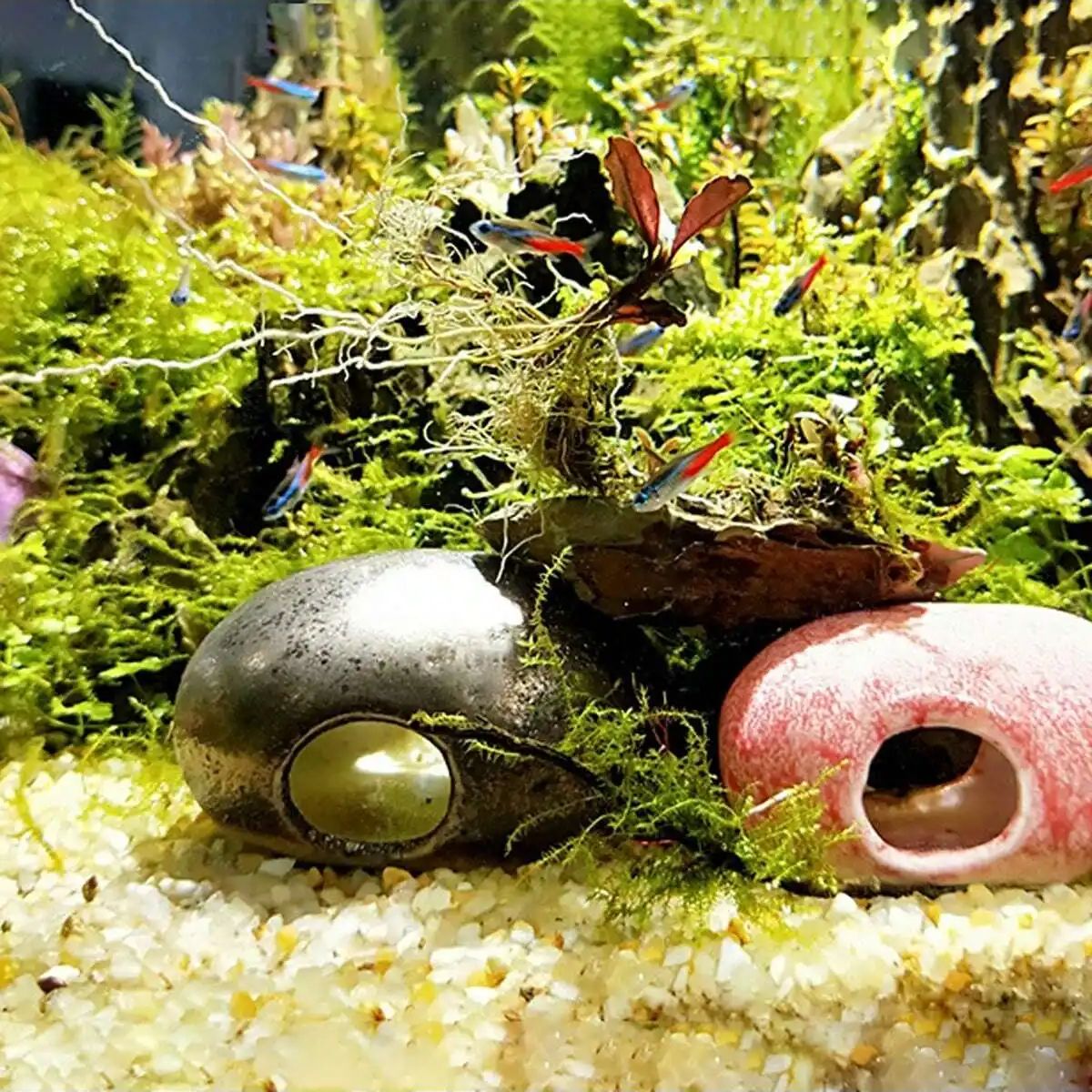 1pc-250 グラム天然結晶砂利石マイクロ風景庭水族館の装 - Aquarium Fish Tank Price のレビューと価格