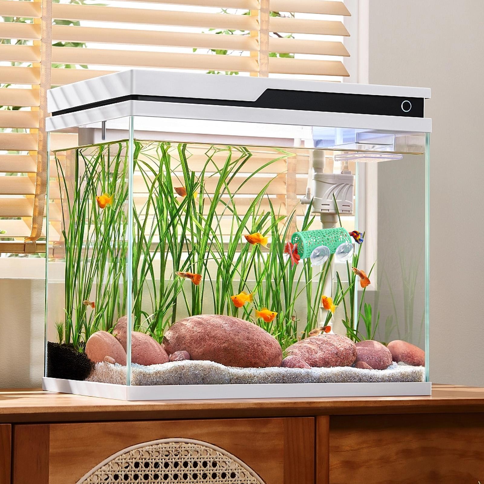 ベタの生息地、休憩用シェルター、装飾用魚トンネルおもちゃ、水 - Aquarium Fish Betta のレビューと価格