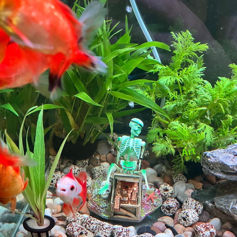 水槽用エアポンプ、水槽の景観を彩るエアーバブル、楽しい水槽装 - Aquarium Fish Tank Price のレビューと価格