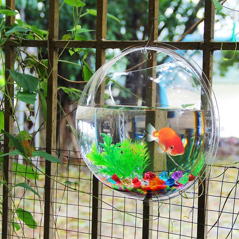 Pinsjar アクリル金魚鉢壁掛け水族館タンク水生ペット用 - Aquarium Fish Betta のレビューと価格