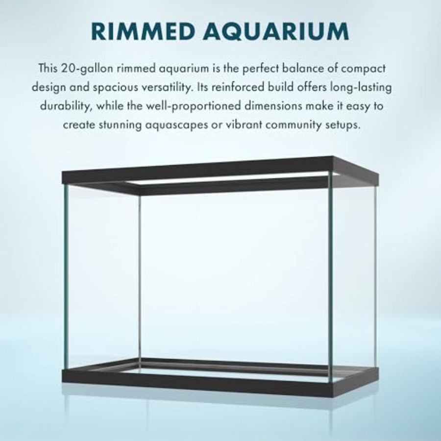 20ガロンガラス水槽 - 24 x 12.5 x 17.25 - Aquarium Fish Betta のレビューと価格
