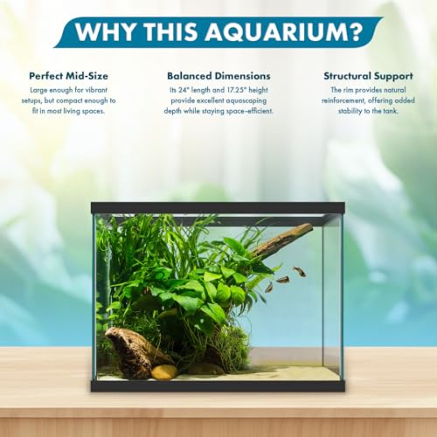20ガロンガラス水槽 - 24 x 12.5 x 17.25 - Aquarium Fish Betta のレビューと価格