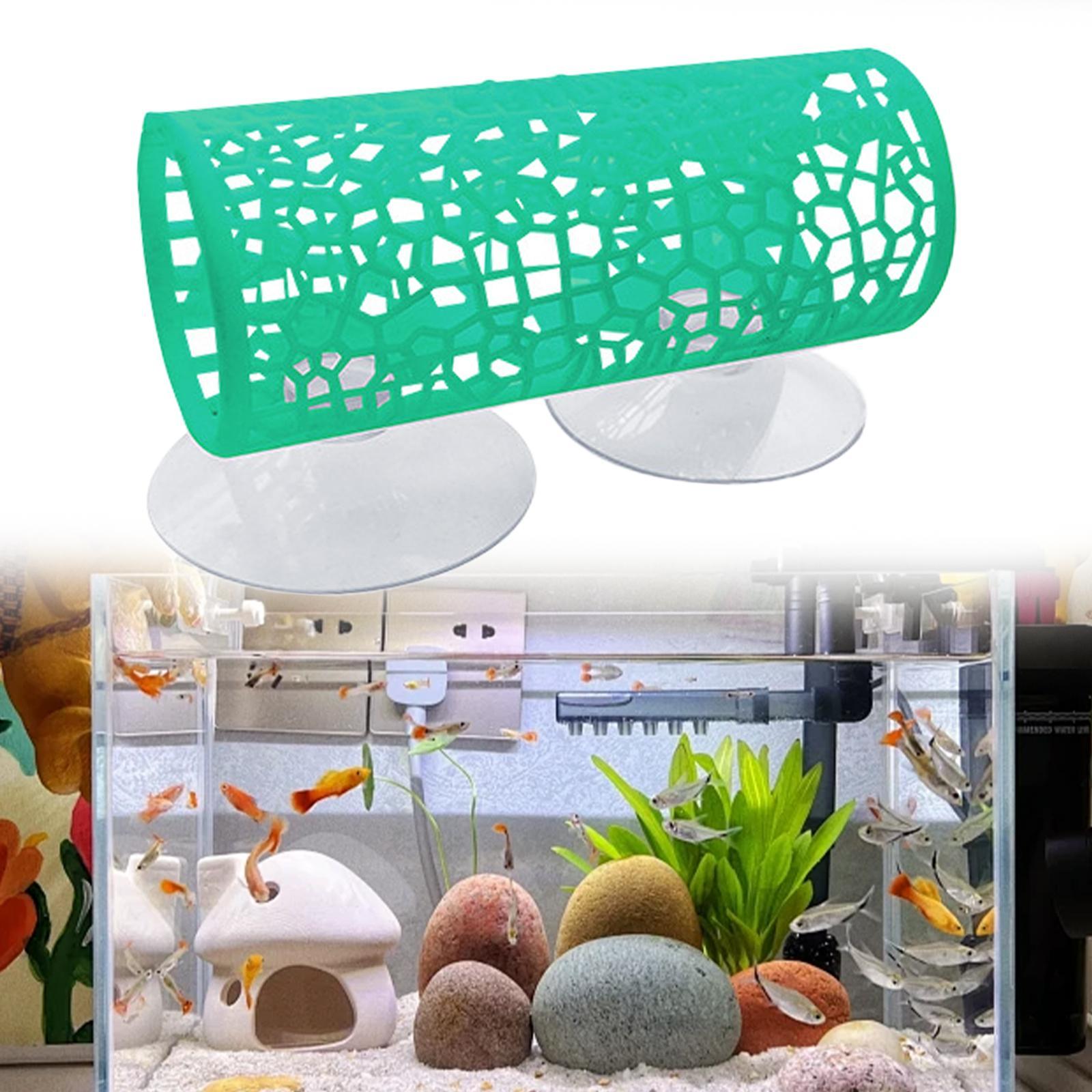 ベタ - トンネル - 隠れ場所、ベタフィッシュ用おもちゃ、 - Aquarium Fisch のレビューと価格