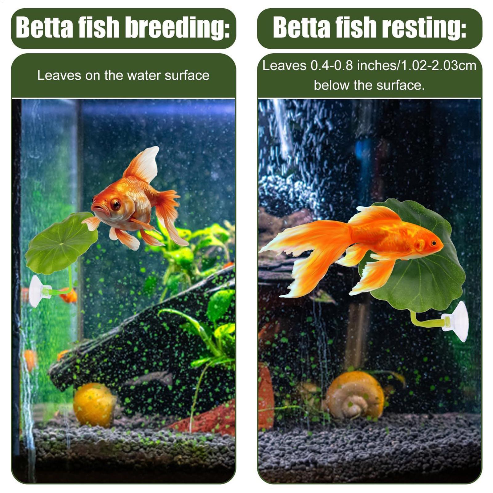 ベタ魚ハンモック 5個セット 調節可能なベタリーフハンモック - Aquarium Fish Betta のレビューと価格
