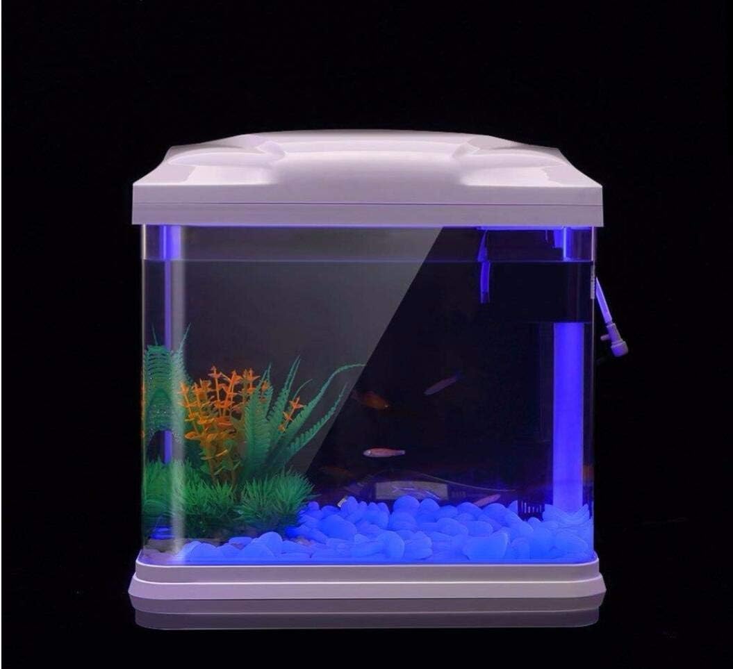 水槽岩グローブルー小石庭用水槽水族館植木鉢盆栽歩道私道 - Aquarium Fish Photography のレビューと価格