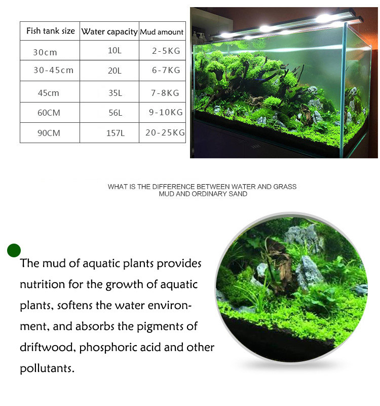 水族館植物の種子,水槽の素材,砂,土壌肥料,魚の手入れ,淡水 - Aquarium Fish Photography のレビューと価格