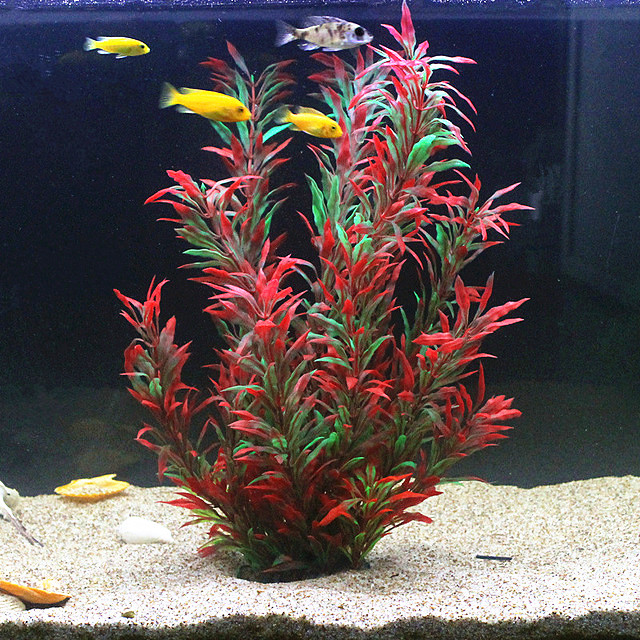 人工水槽50cm,珍しい植物,水族館,偽の竹の葉,水草,プラ - Aquarium Fish Photography のレビューと価格