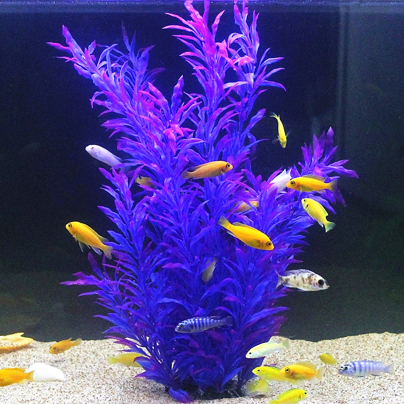 人工水槽50cm,珍しい植物,水族館,偽の竹の葉,水草,プラ - Aquarium Fish Photography のレビューと価格