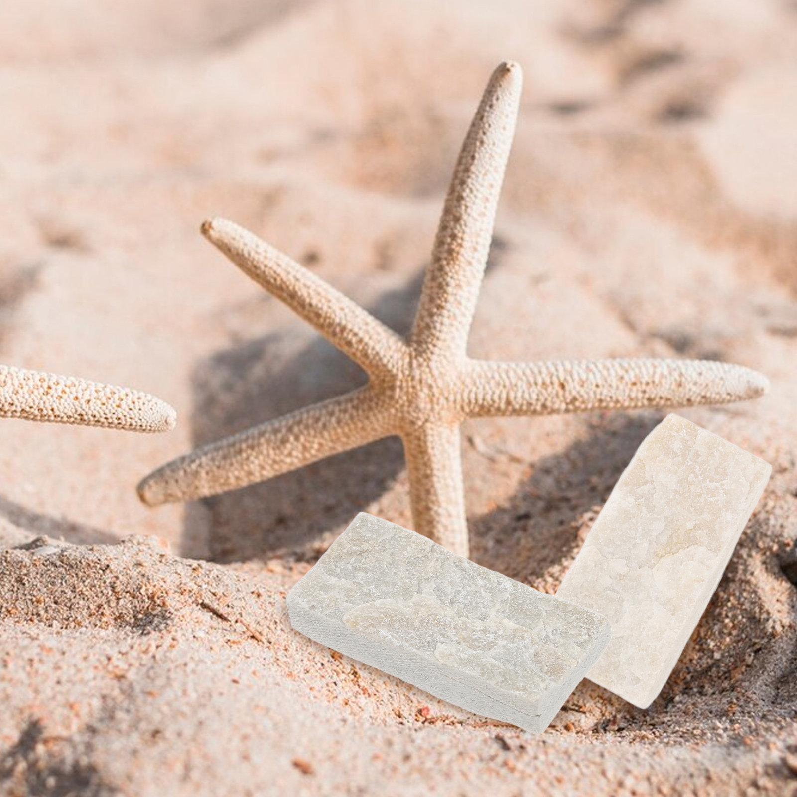 10個入り天然石水槽装飾石、カメ水槽、魚水槽の景観装飾、ベタ - Aquarium Fish Betta のレビューと価格